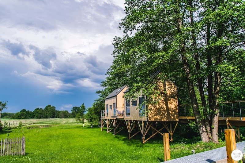 Poland's Most Magical Treetop Escape