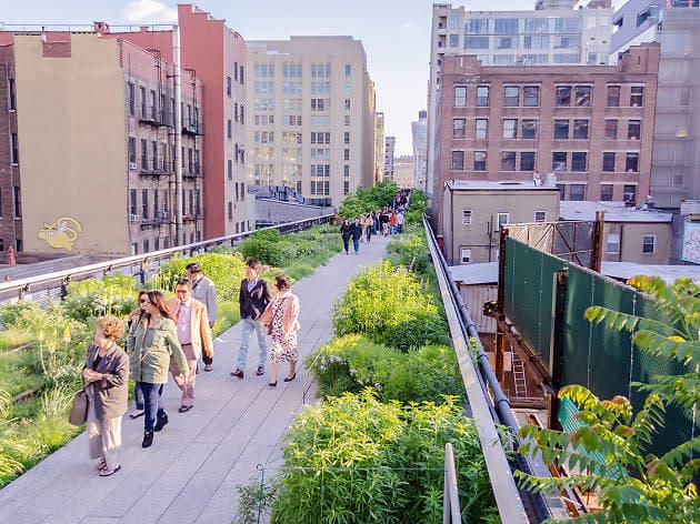NYC's Wildest Urban Transformation Story