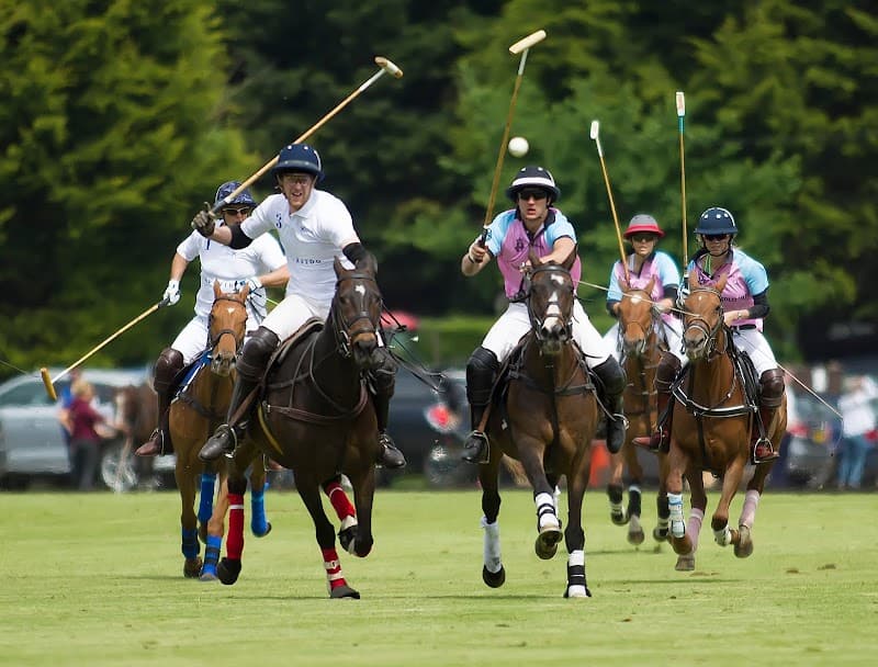 Learn Polo Like British Royalty